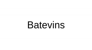 Batevins