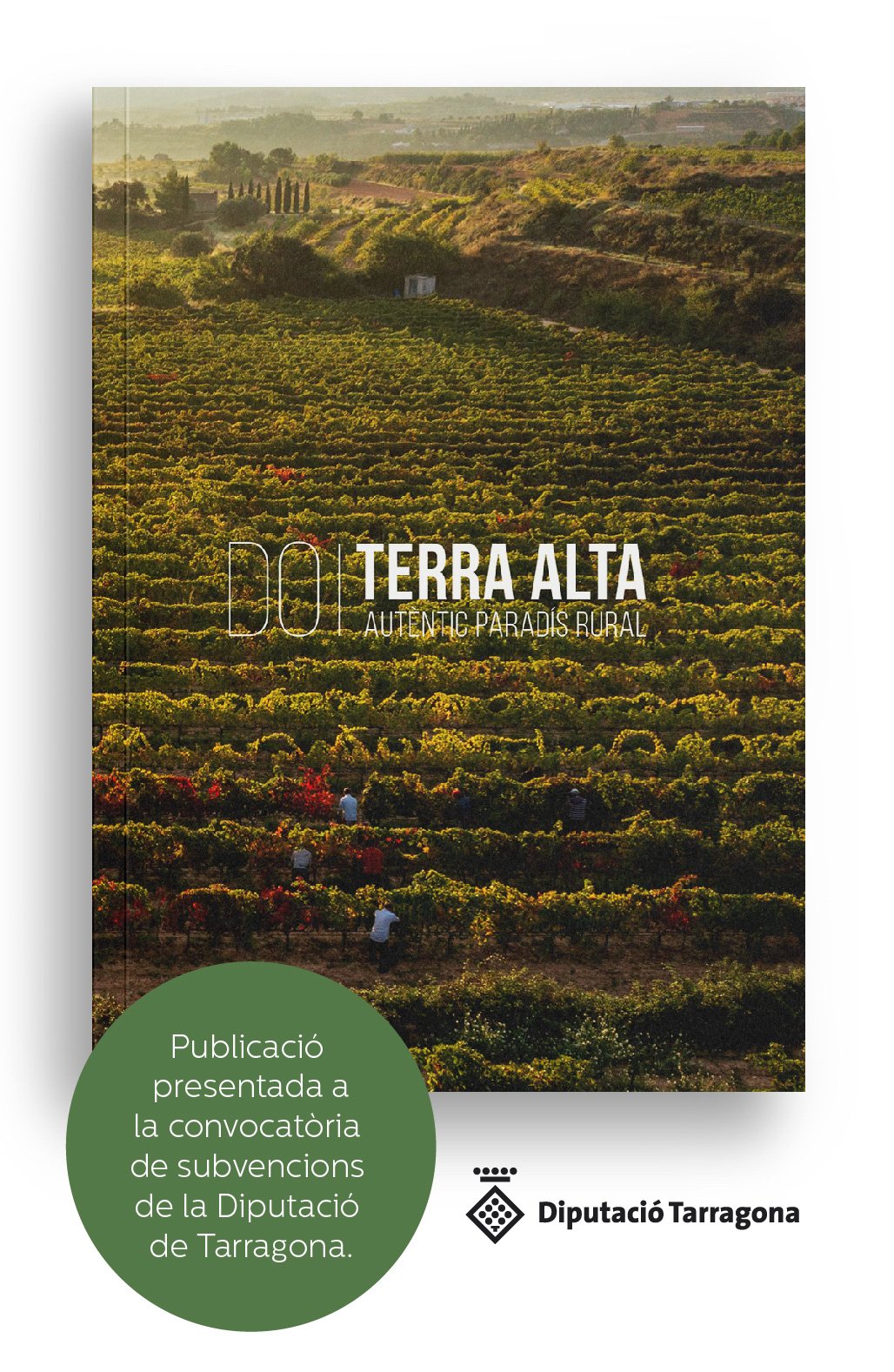 SubvencionLlibre-web2